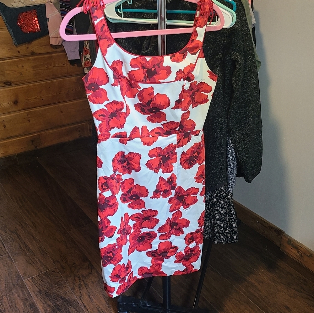 Beautiful Milly of New York floral dress